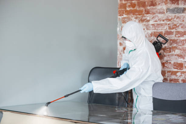 Best Emergency Mold Remediation  in Glenpool, OK