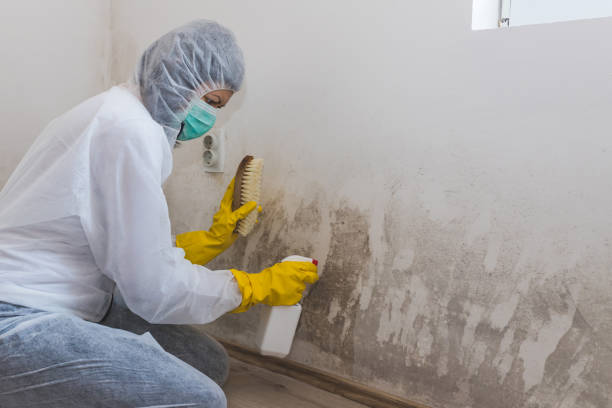 Best Biohazard Mold Removal  in Glenpool, OK