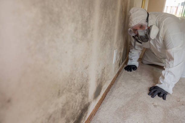 Best Mold Damage Restoration  in Glenpool, OK