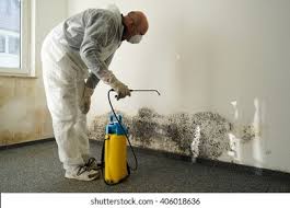 Best Mold Removal for HVAC Installations  in Glenpool, OK